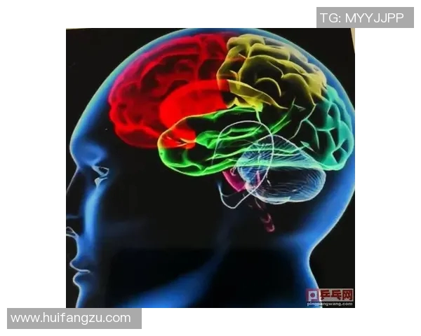 武汉乒乓球队防反战术解析与实战应用探讨 武汉乒乓球队防反战术解析与实战应用探讨