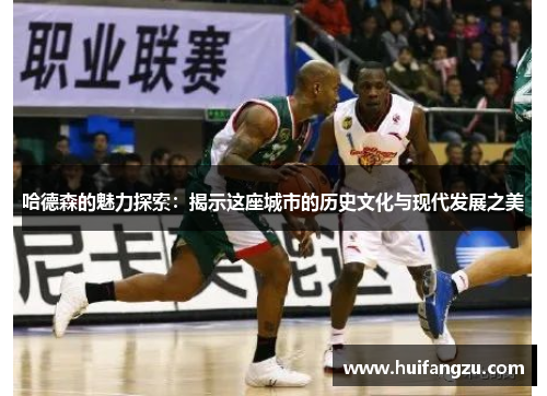 哈德森的魅力探索：揭示这座城市的历史文化与现代发展之美